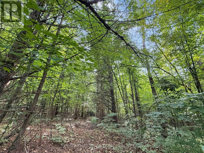 4900 County Rd 4 — photo 4 of 9