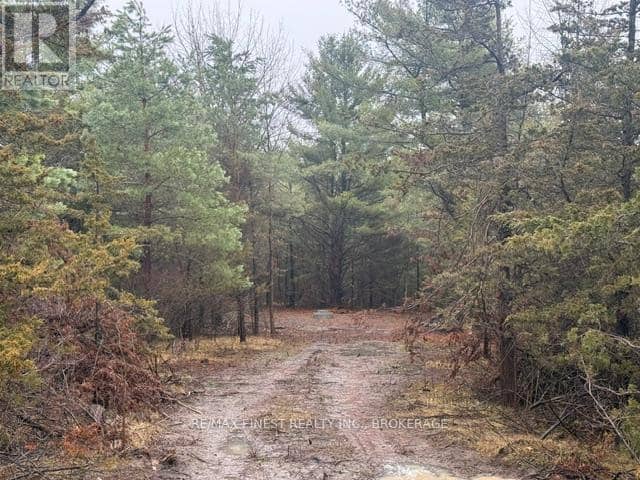 590 Love Road, Loyalist, photo 2