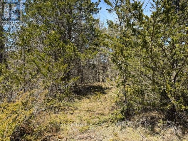 590 Love Road, Loyalist, photo 3