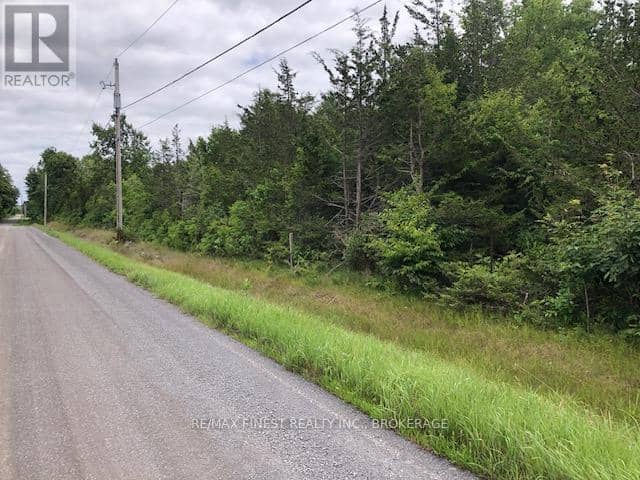 590 Love Road, Loyalist