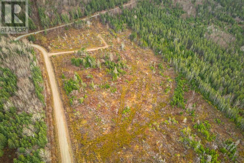 Lot 10 Creignish Mountain Road — photo 23 of 27