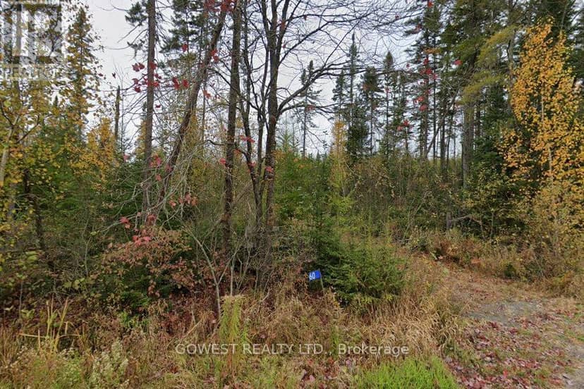 60 Stahls Road, Huntsville, photo 2