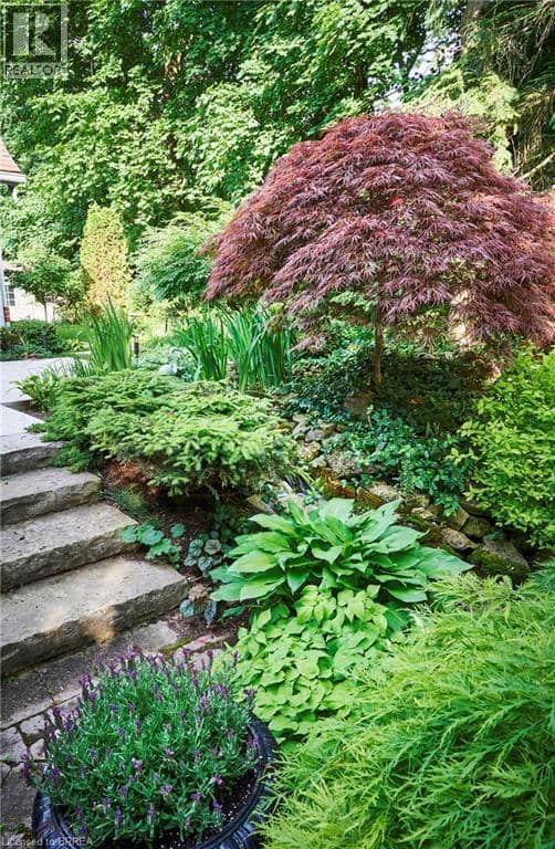 19 INWOOD Drive — photo 39 of 40