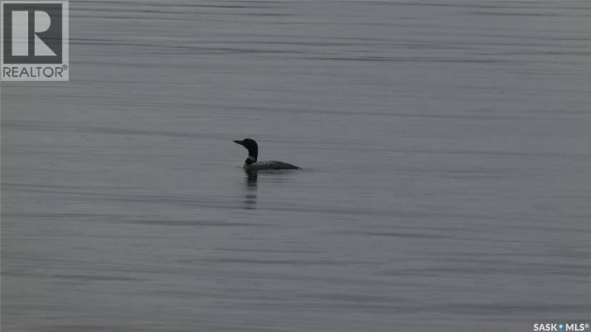 Nemeiben Lake Remote Recretional Leased Land — photo 17 of 39