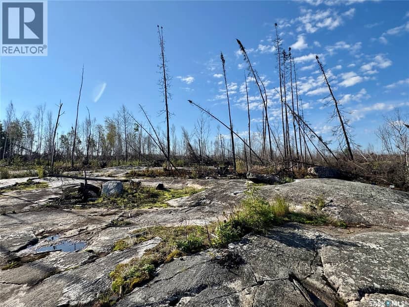 Nemeiben Lake Remote Recretional Leased Land — photo 25 of 39