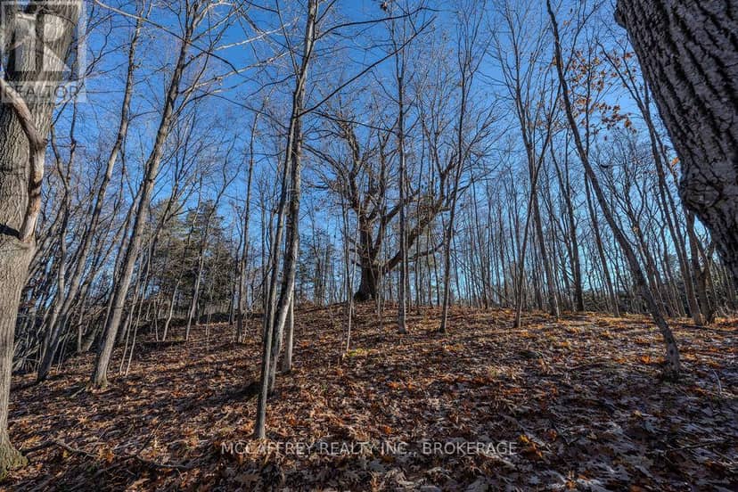 Lot 5 Hinterland Lane — photo 31 of 40