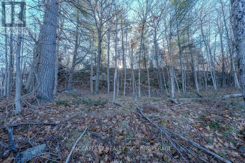 Lot 5 Hinterland Lane — photo 35 of 40