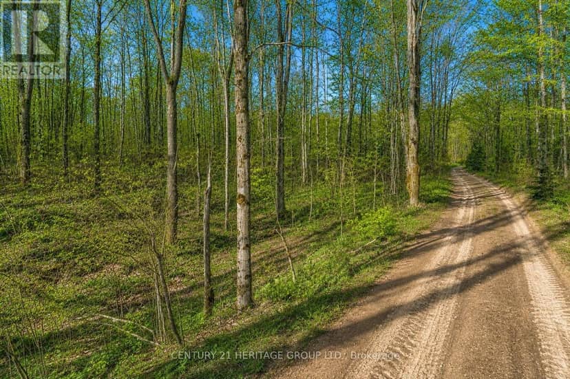 580223 Sideroad 60 — photo 15 of 21