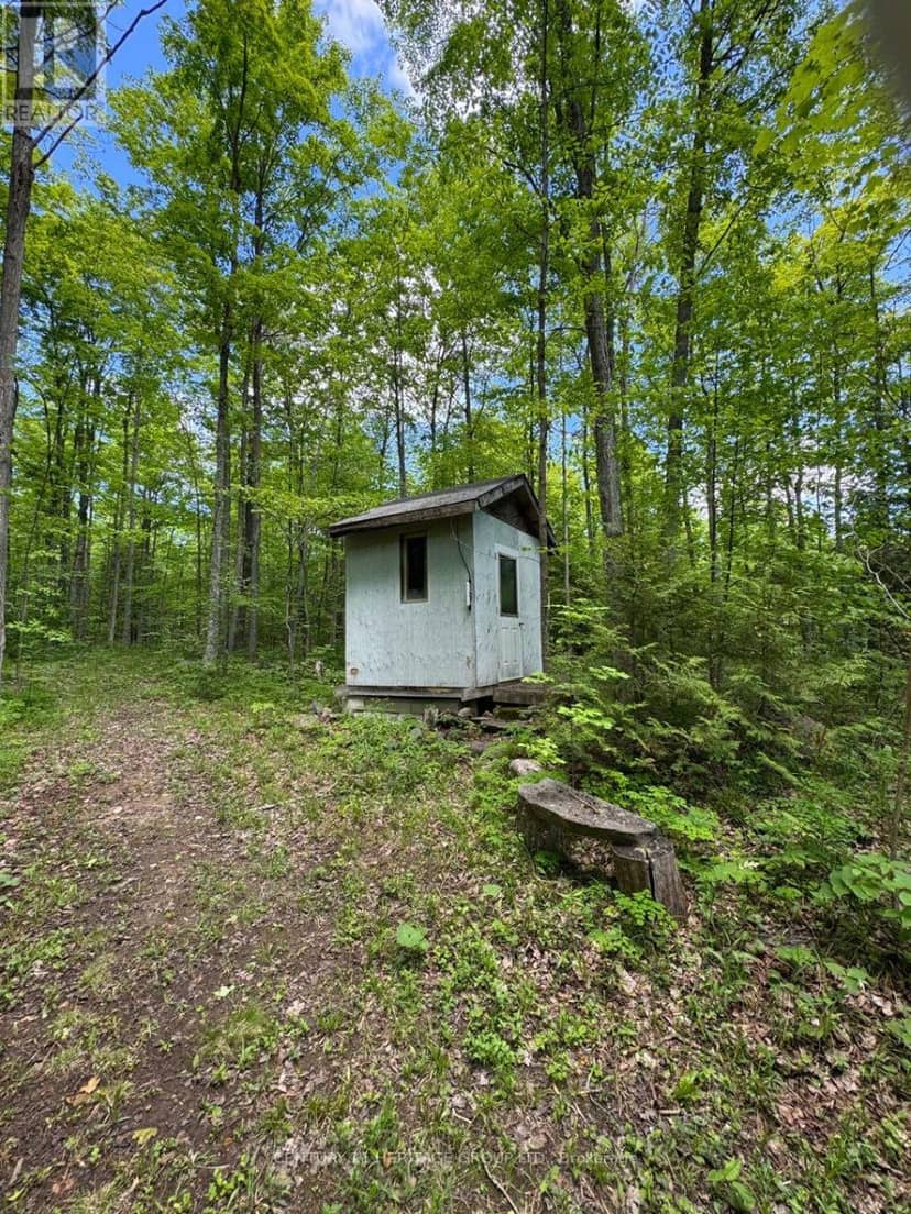 580223 Sideroad 60 — photo 19 of 21
