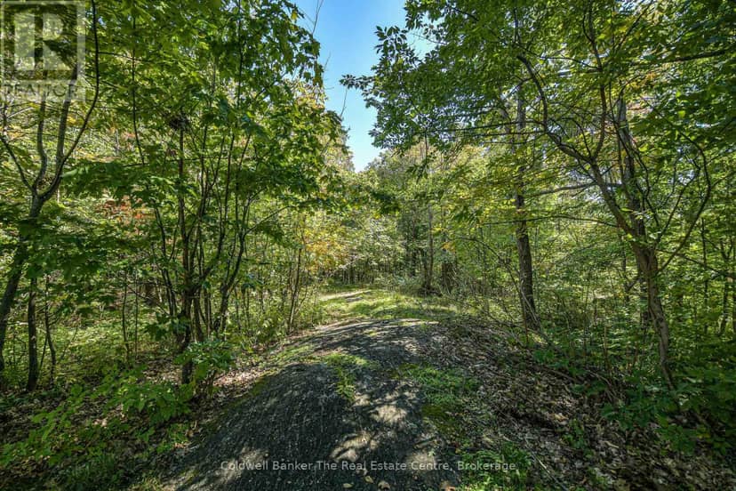 115 Jones Road — photo 38 of 40