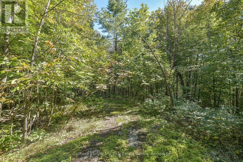 115 Jones Road — photo 39 of 40