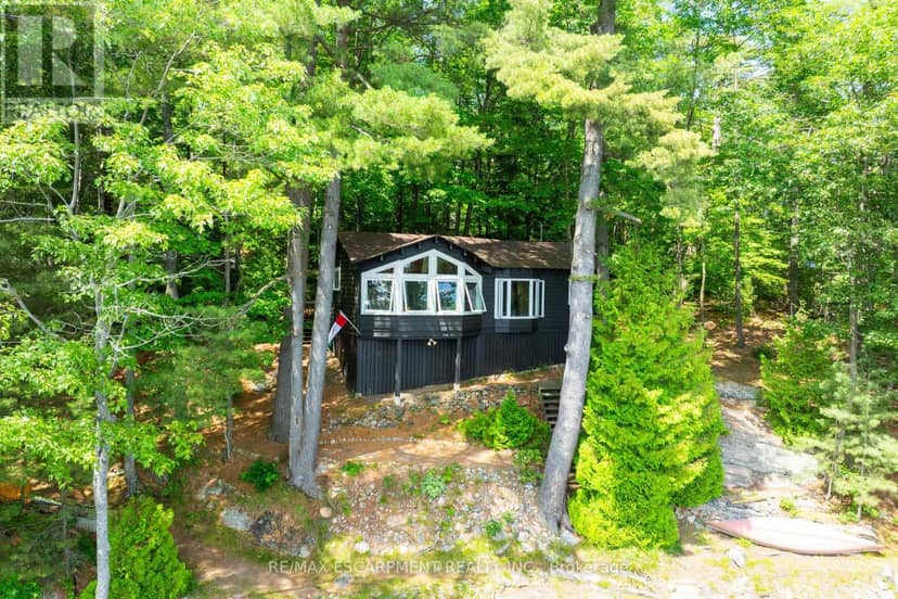 1009 Fogo Street, Muskoka Lakes, photo 3