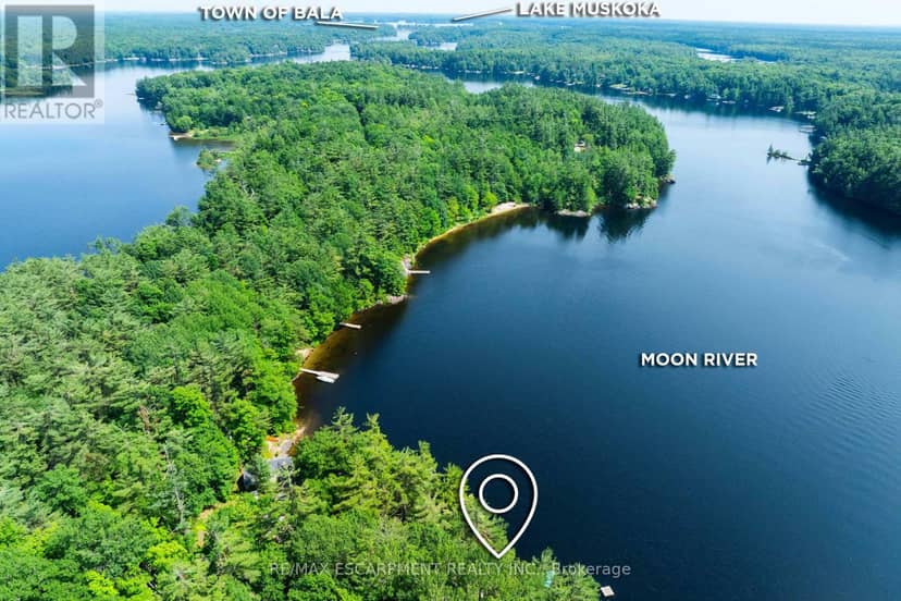 1009 Fogo Street, Muskoka Lakes, photo 8