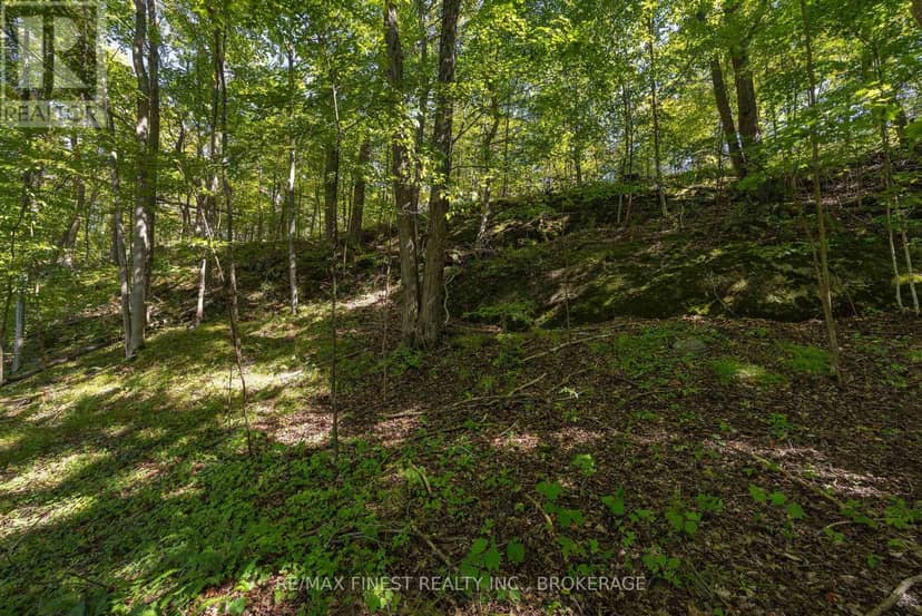 4822 Carrying Place Road — photo 16 of 40
