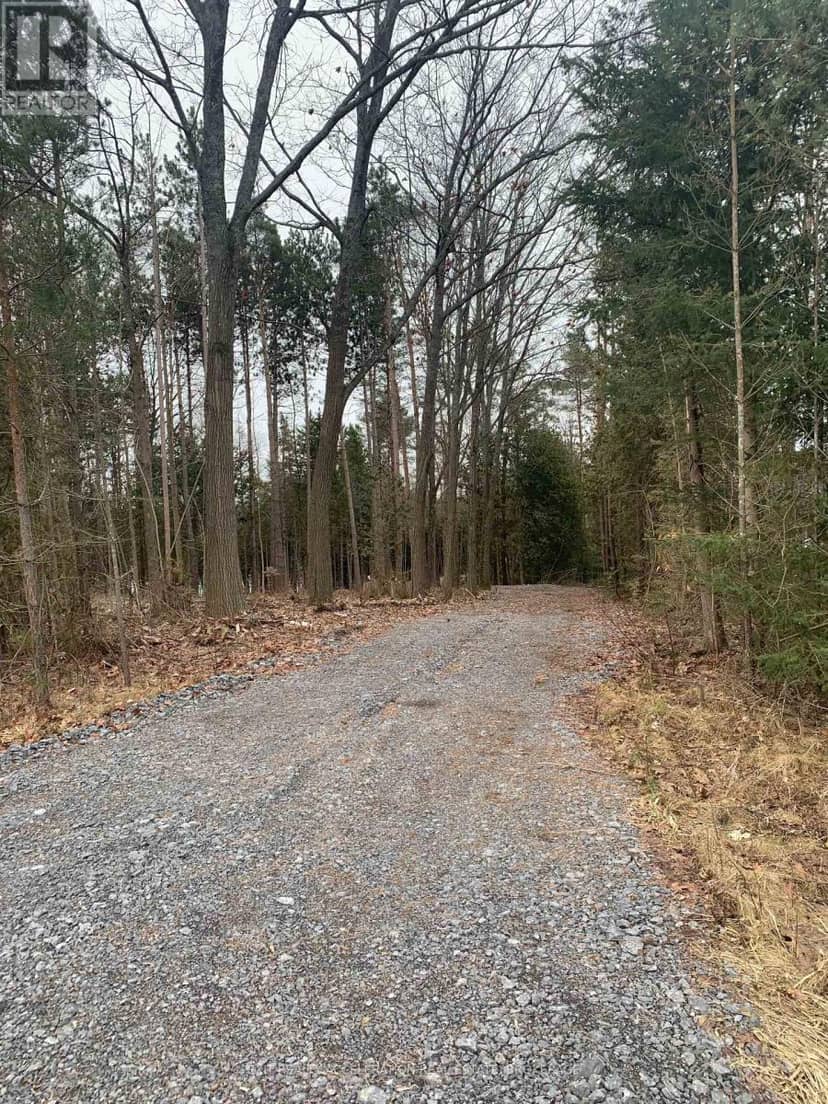 0 County Rd 42, Trent Hills, photo 5
