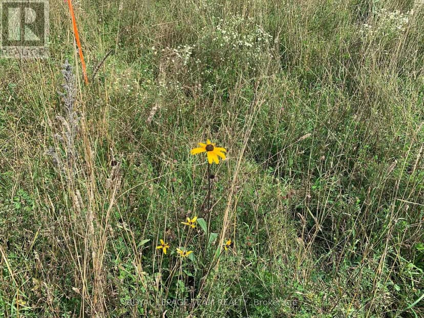 485 5th Concession S — photo 24 of 37