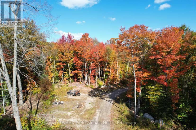121 Loon Lake Road — photo 6 of 40