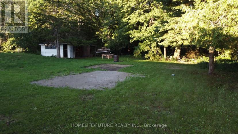 85 Peterson Street — photo 18 of 19