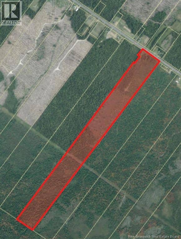 Vacant Lot Route 11 — photo 1 of 2