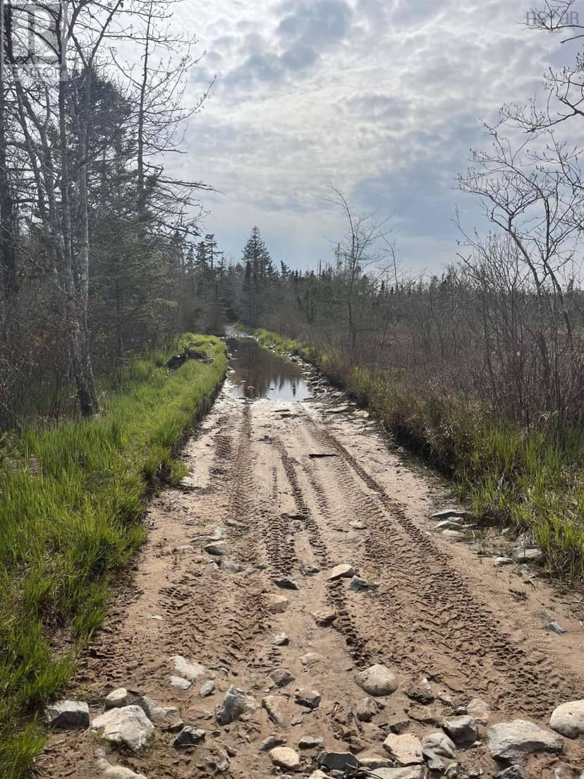 Lot 3 Old Mineville Road — photo 15 of 27