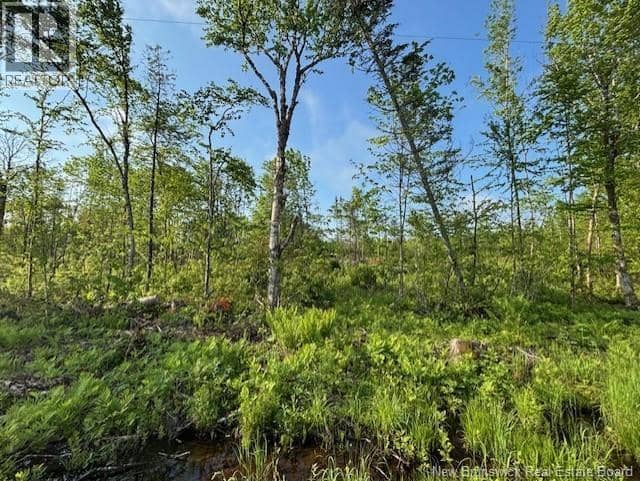 000 Upper Tower Hill Road — photo 5 of 10