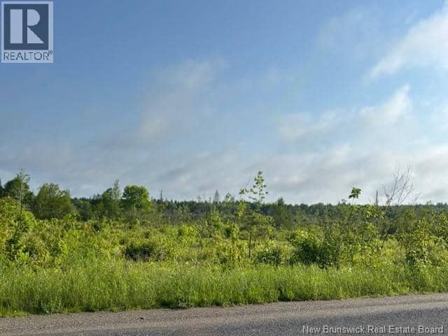 000 Upper Tower Hill Road — photo 10 of 10