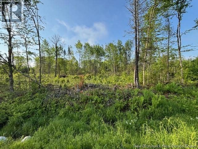 000 Upper Tower Hill Road — photo 1 of 10