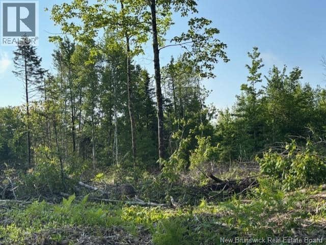 000 Upper Tower Hill Road — photo 5 of 10