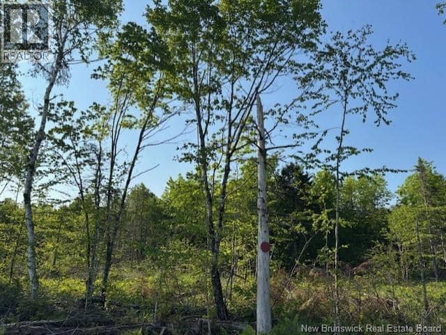 000 Upper Tower Hill Road — photo 4 of 10