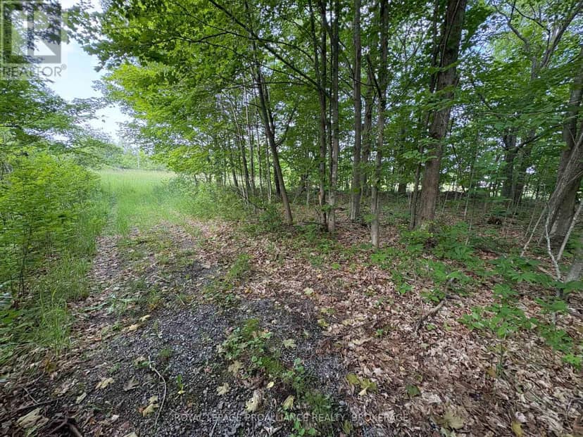 Lot 3 Jamieson Road — photo 13 of 24