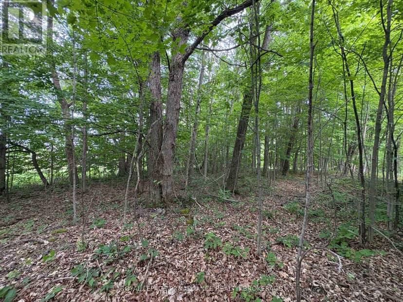 Lot 3 Jamieson Road — photo 4 of 24