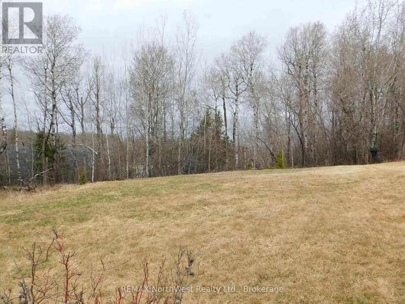 113 Third Street, Dryden, photo 2