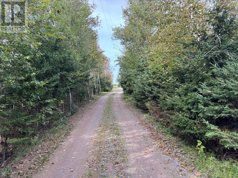 Lot 2 Panmure Island Road, Panmure Island, photo 5