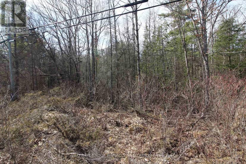 Lot 15 Concession 9 — photo 10 of 17