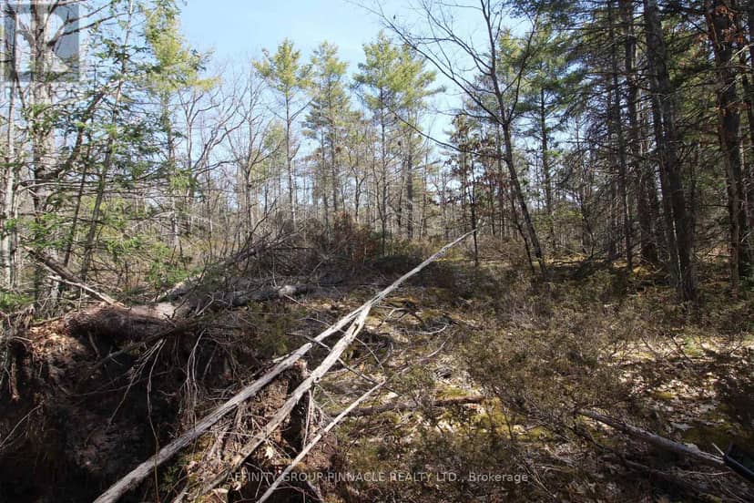 Lot 15 Concession 9 — photo 14 of 17