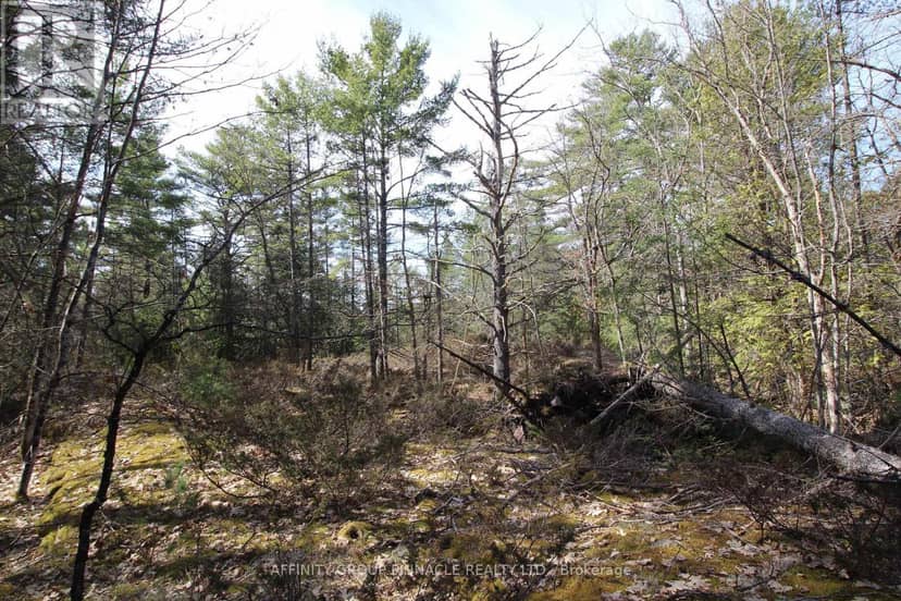 Lot 15 Concession 9 — photo 15 of 17
