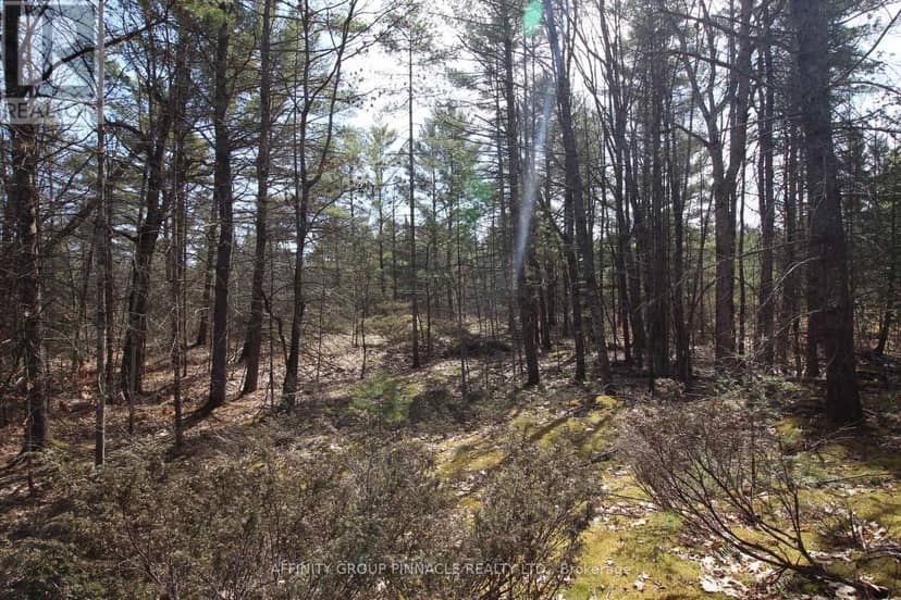 Lot 15 Concession 9, Trent Lakes, photo 2