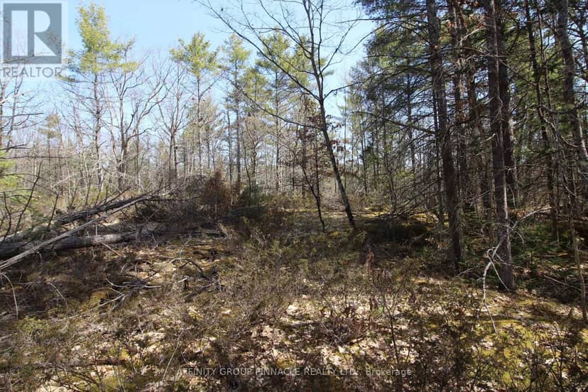 Lot 15 Concession 9, Trent Lakes, photo 3