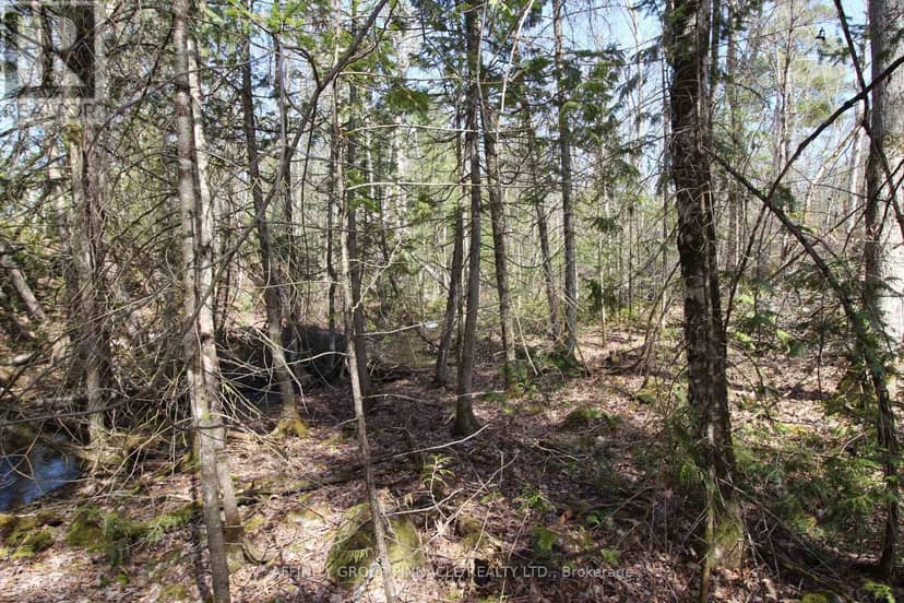 Lot 15 Concession 9, Trent Lakes, photo 5