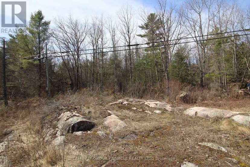 Lot 15 Concession 9, Trent Lakes, photo 7