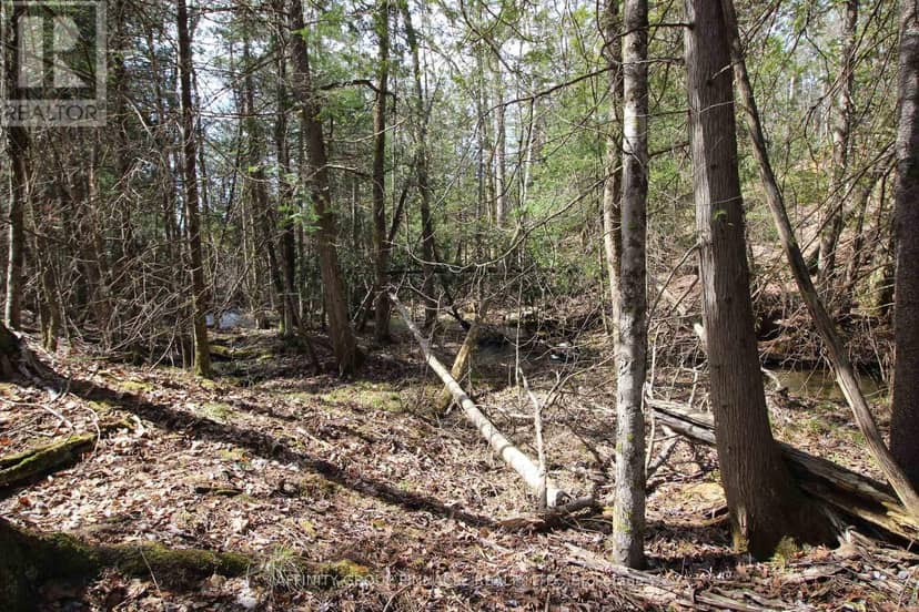 Lot 15 Concession 9, Trent Lakes, photo 8