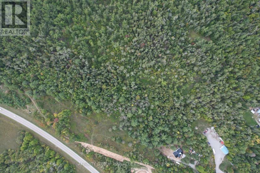 15 Ferguson Road, Kawartha Lakes, photo 7