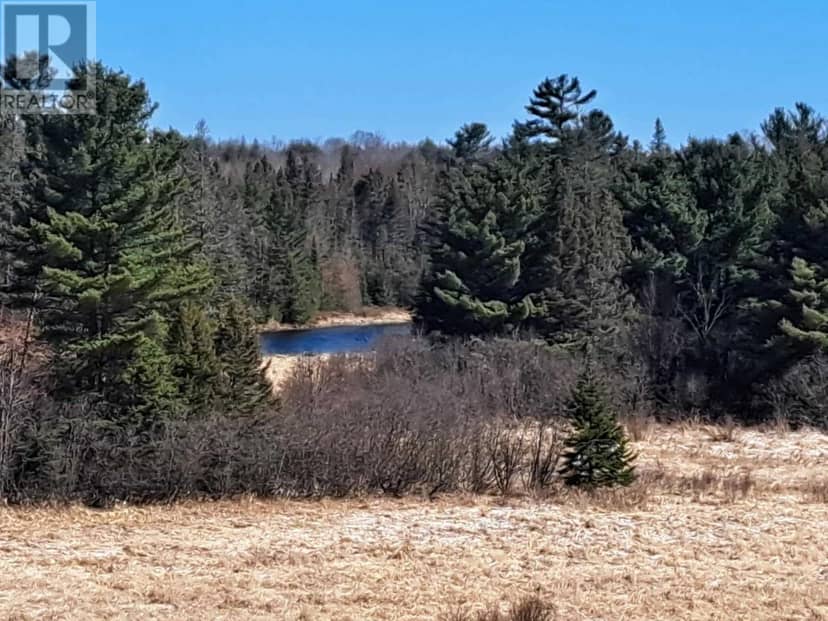 Area of Feltham Rd/Huron Shores — photo 32 of 36