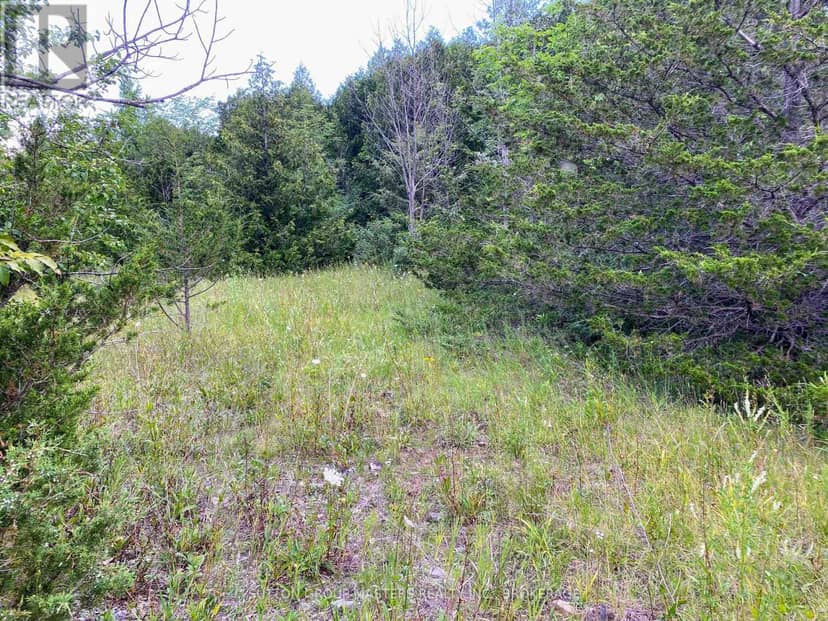 0 Colebrook Road — photo 2 of 7