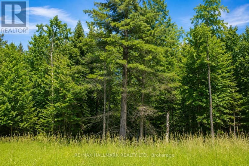 21576 McCowan Road, East Gwillimbury, photo 5