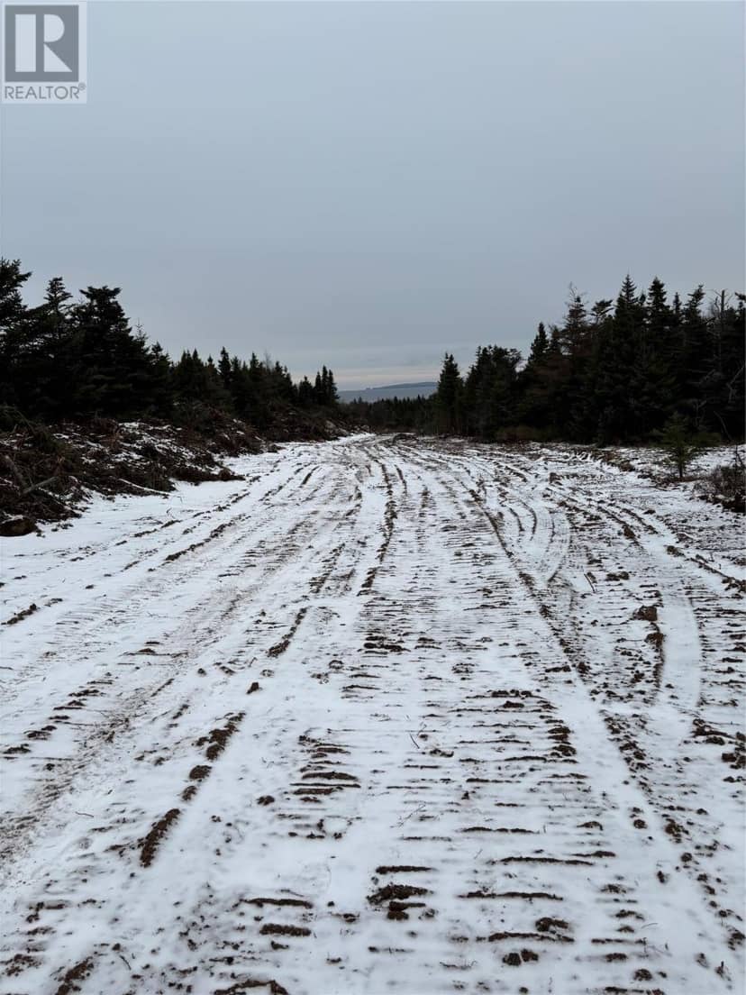 Lot 3 Silas Morgan Estates, Conception Bay South, photo 2