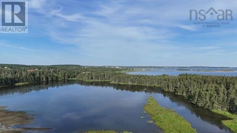 Lot 1-2 Highway 247 — photo 12 of 30