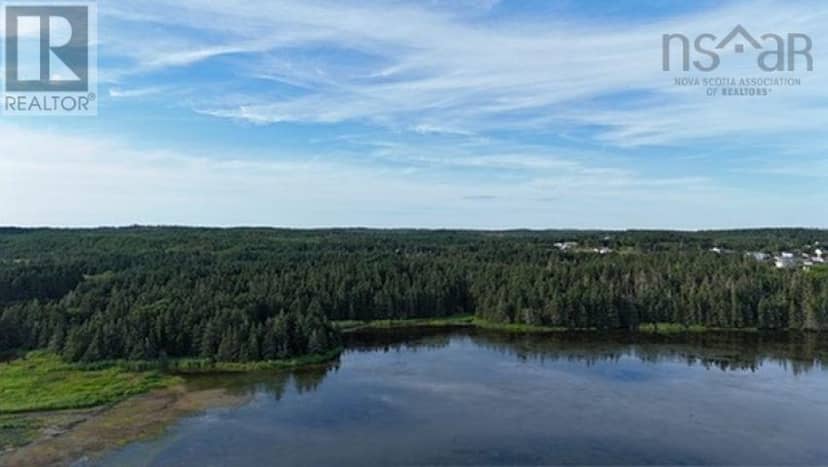 Lot 1-2 Highway 247 — photo 13 of 30