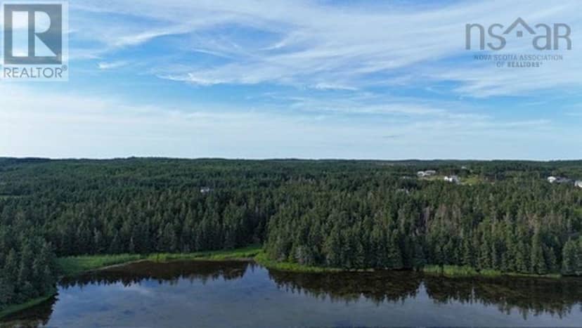 Lot 1-2 Highway 247 — photo 21 of 30