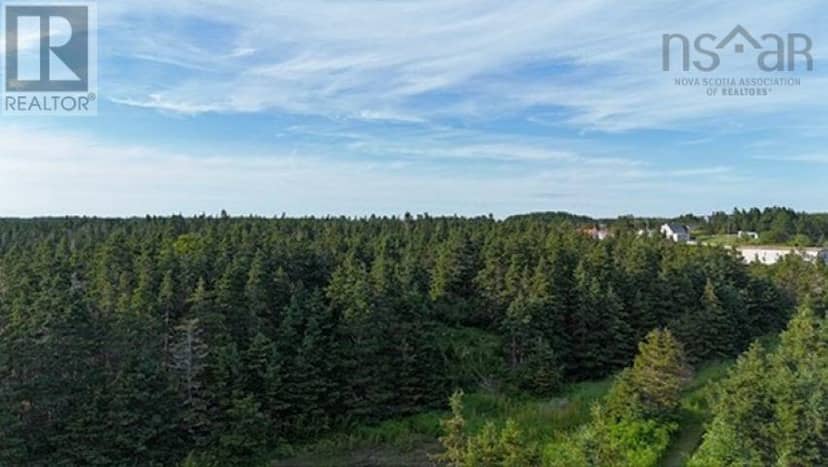 Lot 1-2 Highway 247 — photo 23 of 30